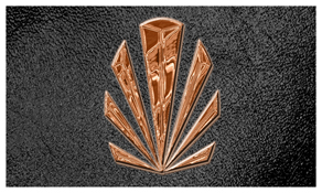 DNSEMP-C-602-CP-SH-BK Copper Sunburst Shimmer Black